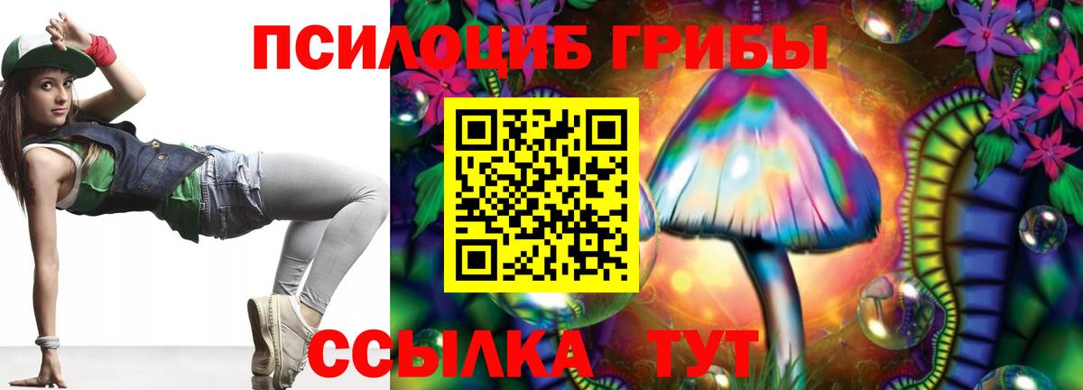 Псилоцибиновые грибы Psilocybe  Вход с VPN  Новочебоксарск 