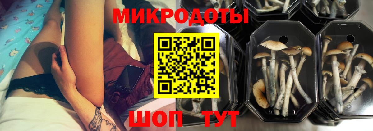 Псилоцибиновые грибы прущие грибы Новочебоксарск